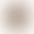 wine yeast packet