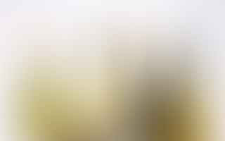 What are some good white wines?