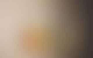 What distinguishes white wine from red wine?